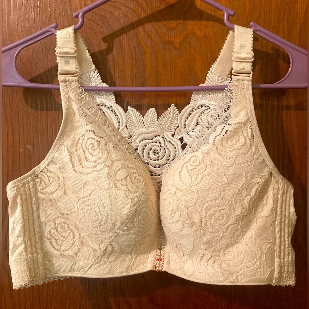 Light pink lacey bra w/ gold hardware.
